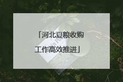 河北夏粮收购工作高效推进