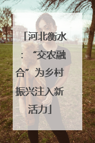 河北衡水：“交农融合”为乡村振兴注入新活力