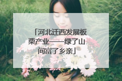 河北迁西发展板栗产业——绿了山间富了乡亲
