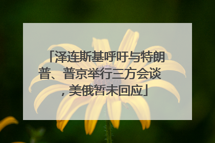 泽连斯基呼吁与特朗普、普京举行三方会谈，美俄暂未回应