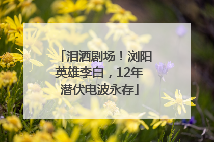 泪洒剧场！浏阳英雄李白，12年潜伏电波永存