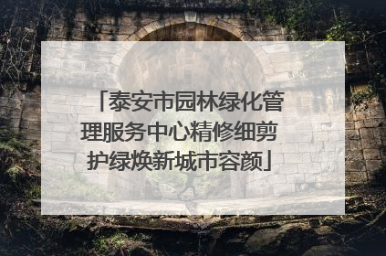 泰安市园林绿化管理服务中心精修细剪护绿焕新城市容颜