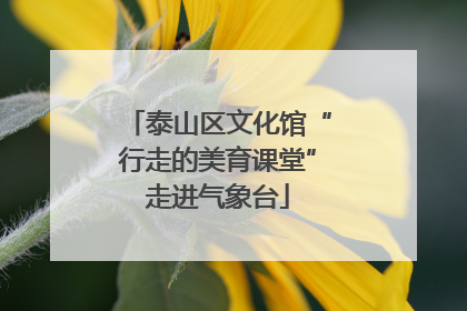 泰山区文化馆“行走的美育课堂”走进气象台