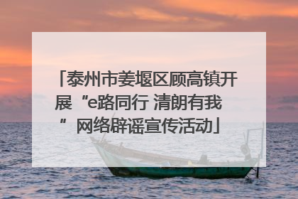 泰州市姜堰区顾高镇开展“e路同行 清朗有我”网络辟谣宣传活动