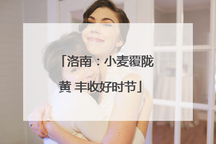 洛南：小麦覆陇黄 丰收好时节