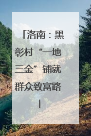 洛南：黑彰村“一地三金”铺就群众致富路