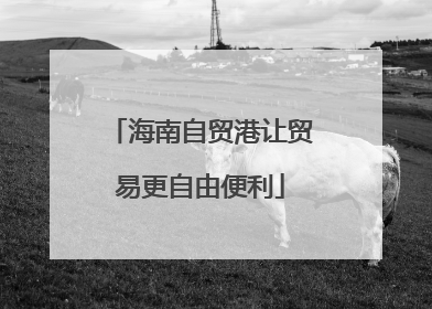 海南自贸港让贸易更自由便利