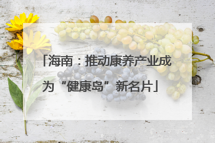 海南：推动康养产业成为“健康岛”新名片