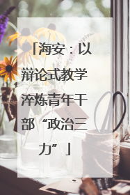 海安：以辩论式教学淬炼青年干部“政治三力”