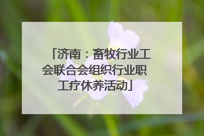 济南：畜牧行业工会联合会组织行业职工疗休养活动