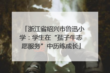 浙江省绍兴市鲁迅小学：学生在“孺子牛志愿服务”中历练成长