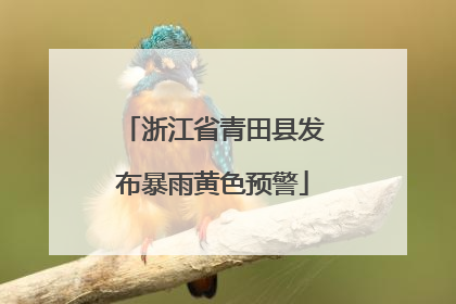 浙江省青田县发布暴雨黄色预警