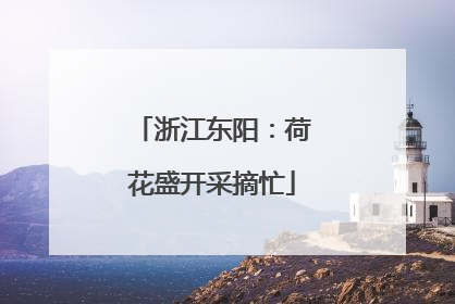 浙江东阳：荷花盛开采摘忙