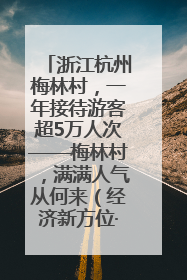 浙江杭州梅林村，一年接待游客超5万人次——梅林村，满满人气从何来（经济新方位·农村消费观察）