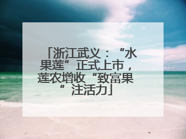 浙江武义：“水果莲”正式上市，莲农增收“致富果”注活力