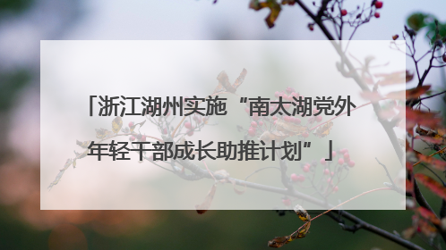 浙江湖州实施“南太湖党外年轻干部成长助推计划”