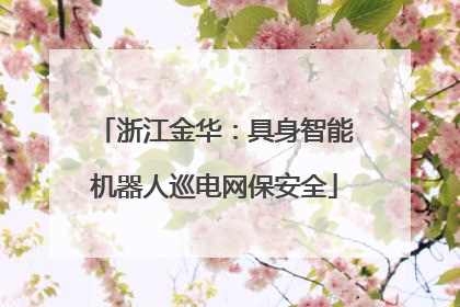 浙江金华：具身智能机器人巡电网保安全