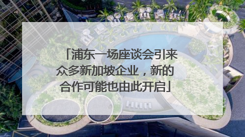 浦东一场座谈会引来众多新加坡企业，新的合作可能也由此开启
