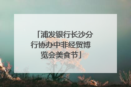 浦发银行长沙分行协办中非经贸博览会美食节