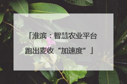 淮滨：智慧农业平台跑出麦收“加速度”
