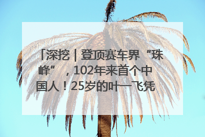 深挖｜登顶赛车界“珠峰”，102年来首个中国人！25岁的叶一飞凭什么创造历史？