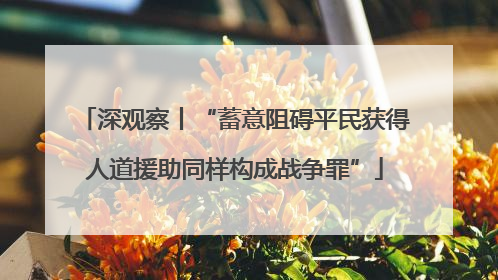 深观察丨“蓄意阻碍平民获得人道援助同样构成战争罪”