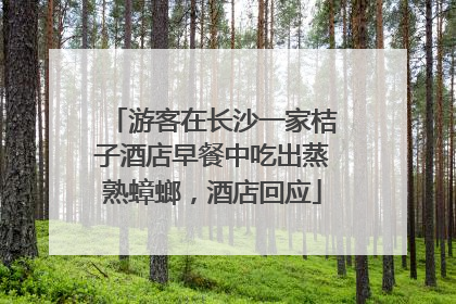 游客在长沙一家桔子酒店早餐中吃出蒸熟蟑螂，酒店回应