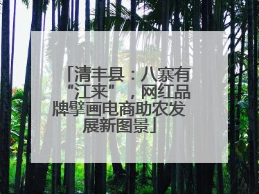 清丰县：八寨有“江来”，网红品牌擘画电商助农发展新图景