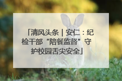 清风头条｜安仁：纪检干部“陪餐监督”守护校园舌尖安全