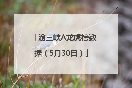 渝三峡A龙虎榜数据（5月30日）