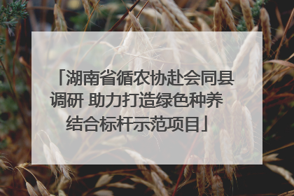 湖南省循农协赴会同县调研 助力打造绿色种养结合标杆示范项目