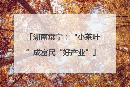 湖南常宁：“小茶叶”成富民“好产业”