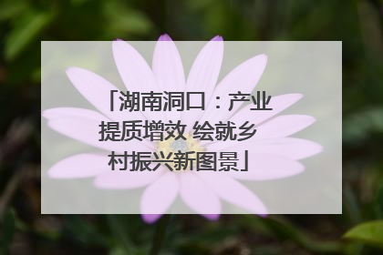 湖南洞口：产业提质增效 绘就乡村振兴新图景