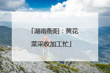 湖南衡阳：黄花菜采收加工忙