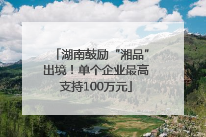 湖南鼓励“湘品”出境！单个企业最高支持100万元