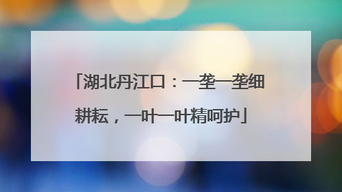 湖北丹江口：一垄一垄细耕耘，一叶一叶精呵护