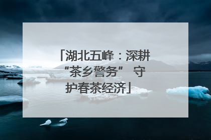 湖北五峰：深耕“茶乡警务” 守护春茶经济