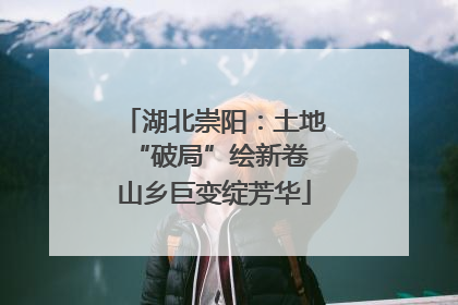 湖北崇阳：土地“破局”绘新卷 山乡巨变绽芳华