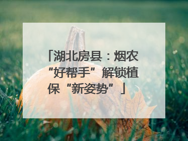 湖北房县：烟农“好帮手”解锁植保“新姿势”