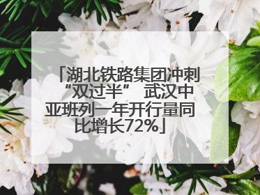 湖北铁路集团冲刺“双过半” 武汉中亚班列一年开行量同比增长72%