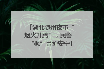 湖北随州夜市“烟火升腾”，民警“枫”景护安宁