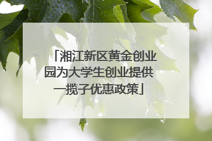 湘江新区黄金创业园为大学生创业提供一揽子优惠政策