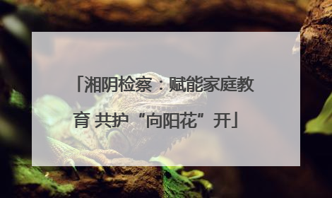 湘阴检察：赋能家庭教育 共护“向阳花”开