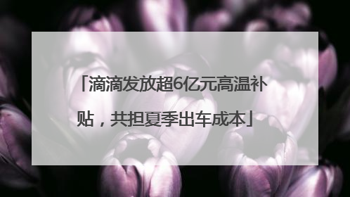 滴滴发放超6亿元高温补贴，共担夏季出车成本