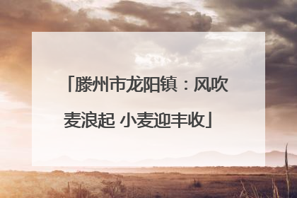 滕州市龙阳镇：风吹麦浪起 小麦迎丰收