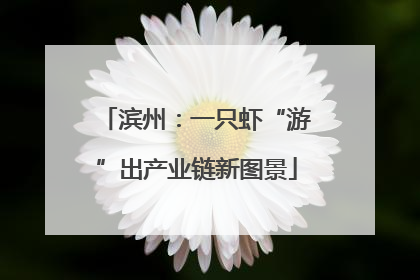 滨州：一只虾“游”出产业链新图景