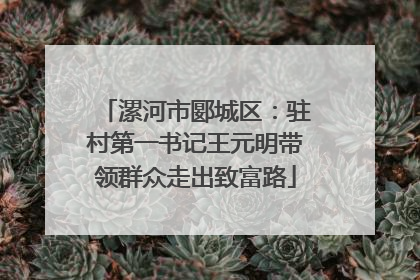 漯河市郾城区：驻村第一书记王元明带领群众走出致富路