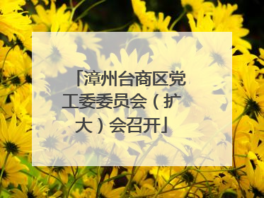 漳州台商区党工委委员会（扩大）会召开
