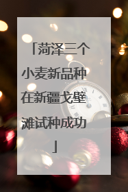 菏泽三个小麦新品种在新疆戈壁滩试种成功