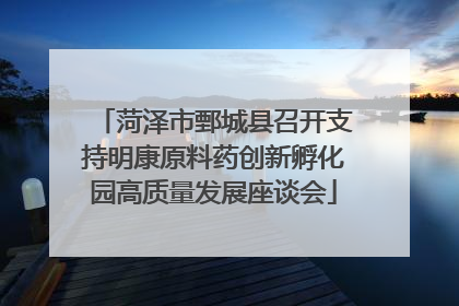菏泽市鄄城县召开支持明康原料药创新孵化园高质量发展座谈会